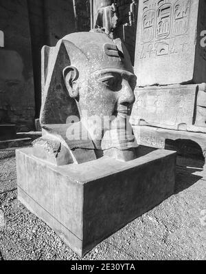 Luxor. Dies ist die Büste von Ramesses II am Eingang zum 3500 Jahre alten UNESCO-Weltkulturerbe des Tempels von Luxor, Teil des größten Tempelkomplexes der Welt, am Nil in der Stadt Luxor, die früher in der Antike als Theben bekannt war, Bau von denen ist weitgehend auf den Pharao König Ramesses II gutgeschrieben, Ramesses der große Stockfoto