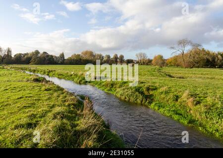 Blick über die Harnham Water Meadows, südlich von Salisbury, Wiltshire, Großbritannien. Stockfoto