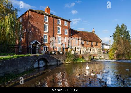 The Old Mill Harnham, ein Gebäude aus dem 15th. Jahrhundert mit Blick auf den Fluss Naddar, Salisbury, Wiltshire, Großbritannien. Stockfoto