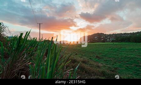 Sonnenuntergang über einem grasbewachsenen Feld, wo Kühe in der Regel grasen. Aufnahme in einem niedrigen Winkel Stockfoto