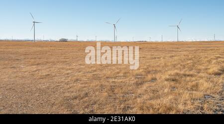 Windkraft in der Nähe von Fort Macleod, Alberta, Kanada Stockfoto