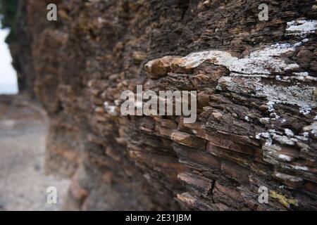 Tung Ping Chau, Hong Kong - Sedimentgestein mit einer Vielzahl von marinen Abrieblandformen entlang der Küste Stockfoto