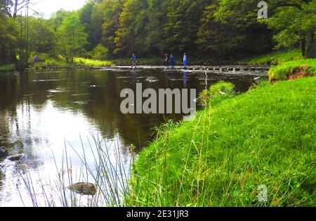 Eine Familie, die 2020 den Fluss Hodder mit den Trittsteinen in Whitewell, Lancashire überquert Stockfoto