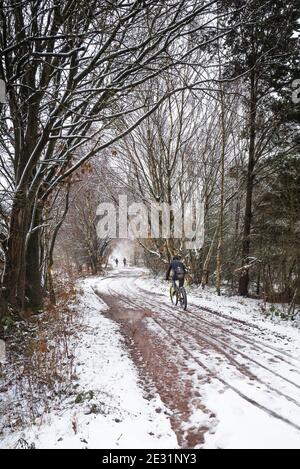 Menschen wandern und radeln auf einer schneebedeckten Strecke im Sherwood Forest, England. Stockfoto