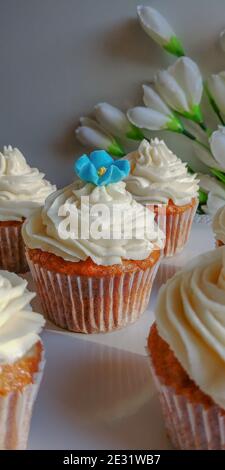 Ð¡Arrot Cupcakes mit Buttercreme mit blauer Zuckerblume verziert Stockfoto