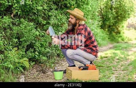 Natürlicher Boden. Gartenkonzept im Frühling. Gärtner Hände Pflanzen Blumen im Hinterhof. Gärtner Pflanzen Blumen in schmutzigen Boden. Bauer Pflanzung Sämling in Bio-Garten. Glücklicher Mann. Menschen in Gartenbeeten. Stockfoto