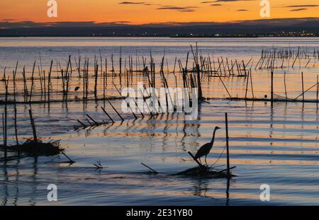 REFLEXIONEN AM ABEND ÜBER DEN SEE VON LA ALBUFERA VON VALENCIA Stockfoto