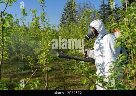 Mann in Deckeln mit Gasmaske besprühender Orchard im Frühling. Landwirt sprüht Bäume mit giftigen Pestiziden oder Insektiziden. Stockfoto