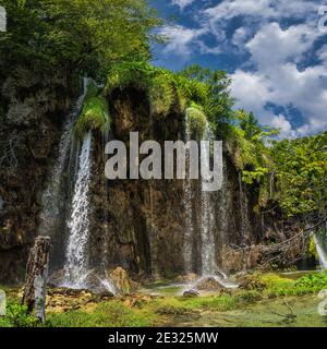 Baumstamm vor hohen Wasserfällen durch Sonnenlicht im Nationalpark Plitvicer Seen UNESCO Weltkulturerbe, Kroatien beleuchtet. Quadratisches Bild Stockfoto