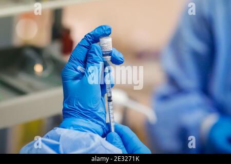 Bukarest, Rumänien - 15. Januar 2021: Details mit den Händen eines Arztes, der eine Dosis des Impfstoffes Pfizer BioNTech anti COvid 19 vorbereitet. Stockfoto