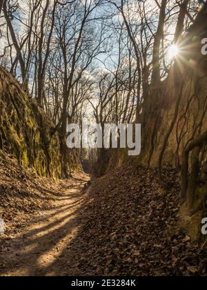 Die Lössschlucht mit dem Namen Königin Jadwiga, Sandomierz, Polen Stockfoto