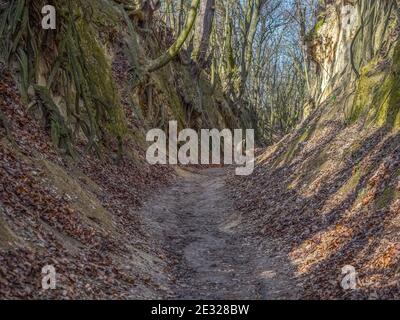 Die Lössschlucht mit dem Namen Königin Jadwiga, Sandomierz, Polen Stockfoto