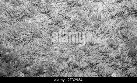 Die Textur des flauschigen Teppichs, der Flor ist Stoff, der Teppich ist weiß mit kleinen Fäden. Stockfoto