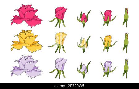 Rosen Blumen bunte Set. Vektorgrafik. Stock Vektor