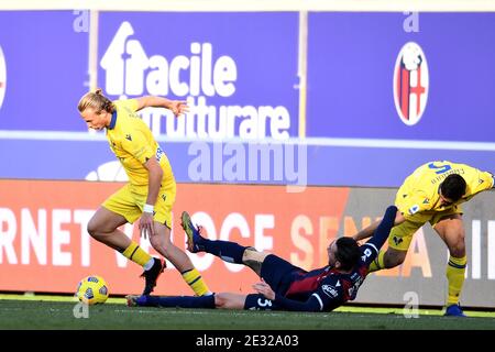 Antonin Barak (Hellas Verona)Mitchell Dijks (Bologna)Davide Faraoni (Hellas Verona) während des italienischen 'Serie A'-Spiels zwischen Bologna 1-0 Hellas Verona im Renato Dall Ara Stadium am 16. Januar 2021 in Bologna, Italien. Quelle: Maurizio Borsari/AFLO/Alamy Live News Stockfoto