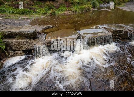 Felsen Bach Wasserfall im Fluss Malmedy, Ardennen, Belgien. Stockfoto