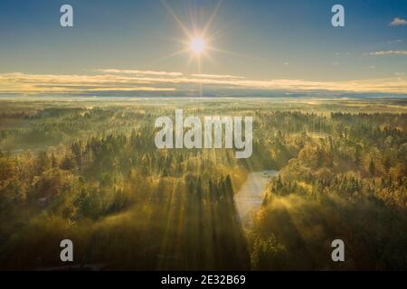 Wunderbare neblige Umweltschützenlandschaft - sonnige Luft mit Blick über einen weiten Wald, Herbstmoment in deutschland. Stockfoto