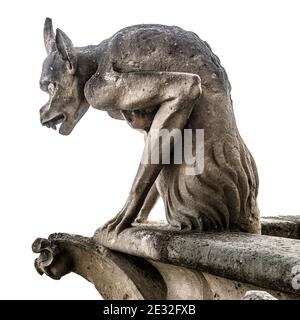 Gargoyle oder Chimäre von Notre Dame de Paris isoliert auf weißem Hintergrund, Frankreich. Die Wasserspeier dieser Kathedrale sind ein gotisches Wahrzeichen in Paris. Berühmt, alt Stockfoto