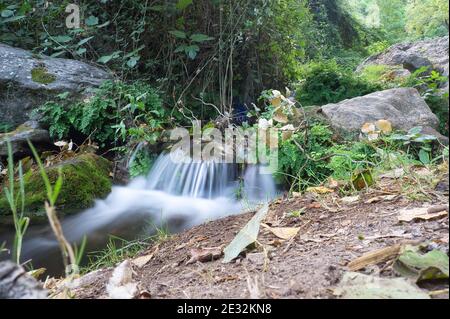 Blick auf den Cerezuelo Fluss, der durch Cazorla, Jaen, Spanien fließt. Fluss, Bäume, Pflanzen und Felsen Stockfoto