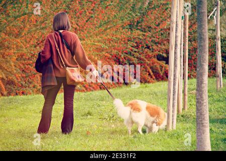 Rückansicht einer italienerin, die mit dem Hund läuft In einem Park in den schönen Farben des Herbstes Konzept des Lebensstils Stockfoto