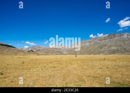 Mann, der mitten auf der Hochebene bei Castelluccio di Norcia, Umbrien, Italien, steht. Der Mann steht vor dem großen Berg Vettore Stockfoto