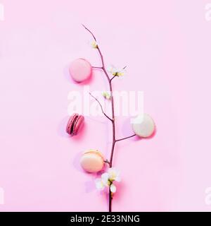 Französische Macarons auf rosa pastellfarbenen Hintergrund mit einem Zweig von Eine Apfelblüte im Frühling Stockfoto