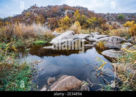 Ein schneller, flacher, sauberer Bach fließt zwischen glatten nassen großen Steinen, umgeben von hohen trockenen Klumpen, die im Wind im malerischen Ukraine schwanken Stockfoto