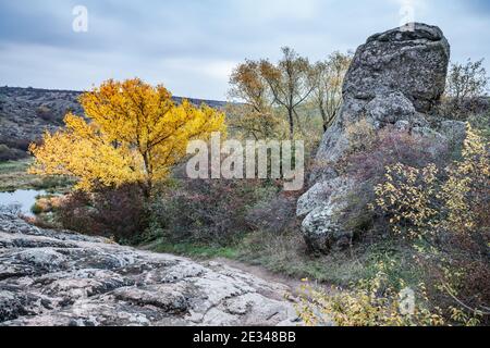 Herbst schöne vergilbte Vegetation und graue Steine mit mehrfarbigen bedeckt Flechten und Moos in der Natur Hügel und malerische Ukraine Stockfoto