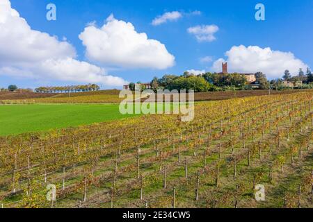 Luftaufnahme der Monferrato Weinberge und Schloss Uviglie im Hintergrund. Das Schloss ist auch für seine Weinproduktion berühmt Stockfoto