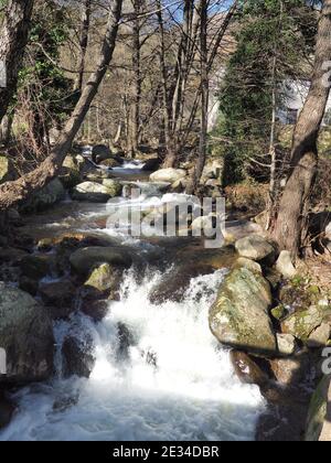 Ein kleiner Wasserfall im Wald Stockfoto