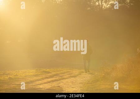 Ein einteiliger Spaziergänger im goldenen Licht des Richmond Park, der 19 während des Lockdown für COVID 2021 / Coronavirus trainiert Stockfoto