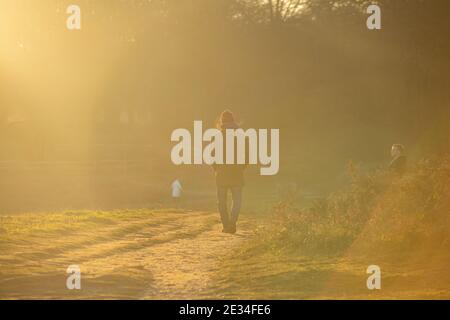 Spaziergänger im Richmond Park im goldenen Licht, während der Lockdown für COVID 19 / Coronavirus im Jahr 2021 Stockfoto