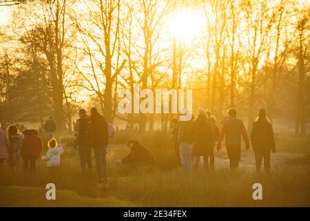 Spaziergänger im Richmond Park im goldenen Licht, während der Lockdown für COVID 19 / Coronavirus im Jahr 2021 Stockfoto