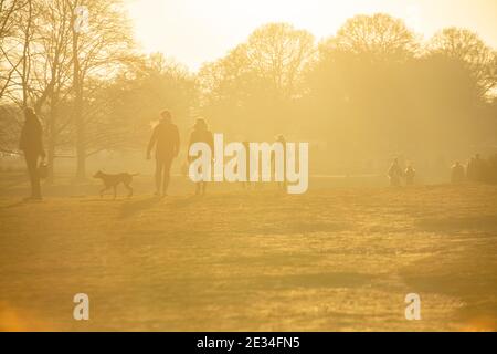 Spaziergänger im Richmond Park im goldenen Licht, während der Lockdown für COVID 19 / Coronavirus im Jahr 2021 Stockfoto