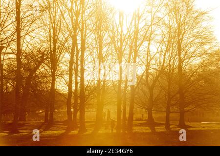 Spaziergänger im Richmond Park im goldenen Licht, während der Lockdown für COVID 19 / Coronavirus im Jahr 2021 Stockfoto