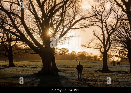 Ein einteiliger Spaziergänger im goldenen Licht des Richmond Park, der 19 während des Lockdown für COVID 2021 / Coronavirus trainiert Stockfoto