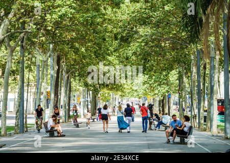 Spanien Barcelona Katalonien Katalonien Avenida Avinguda Diagonal Promenade Park Flugzeug Bäume Platanus Baldachin Schatten Mann Frau Bank Fahrrad Wandern sitzen Stockfoto