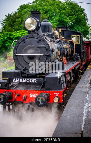 Ein Dampfzug wird von einer vollständig restaurierten Lokomotive der Baureihe C17 aus den frühen 1920er Jahren entlang der historischen Eisenbahnlinie von Mary Valley Rattler gezogen. Stockfoto