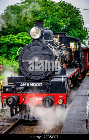 Ein Dampfzug wird von einer vollständig restaurierten Lokomotive der Baureihe C17 aus den frühen 1920er Jahren entlang der historischen Eisenbahnlinie von Mary Valley Rattler gezogen. Stockfoto