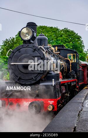 Ein Dampfzug wird von einer vollständig restaurierten Lokomotive der Baureihe C17 aus den frühen 1920er Jahren entlang der historischen Eisenbahnlinie von Mary Valley Rattler gezogen. Stockfoto