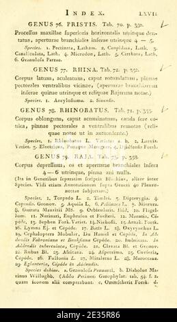 M. E. Blochii ... Systema ichthyologiae iconibus CX illustraum (Seite xlvii) Stockfoto