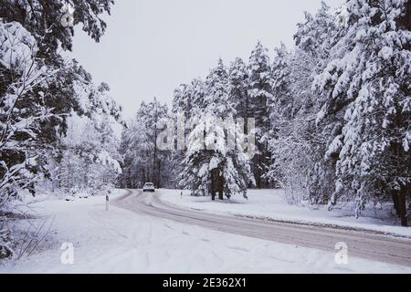 Schöner Wald im Winter mit weißem Schnee rundherum und Autofahren entlang der Forststraße. Winterzauber. Stockfoto