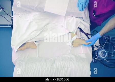 Der Arzt überprüft den immobilisierten Patienten auf der Dialyse. Stockfoto