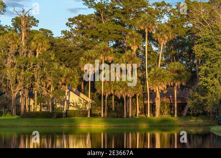 Sonnendurchflutete Palmen und Häuser am Wasser an einem See im Sawgrass Players Club, eine eingezäunte Golf-Gemeinschaft in Ponte Vedra Beach, Florida. (USA) Stockfoto