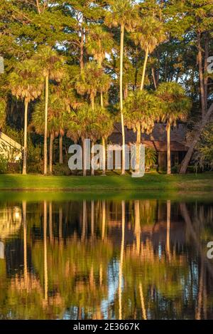 Sonnendurchflutete Palmen und Häuser am Wasser an einem See im Sawgrass Players Club, eine eingezäunte Golf-Gemeinschaft in Ponte Vedra Beach, Florida. (USA) Stockfoto