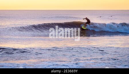 Surfer und Pelikane genießen und frühmorgens Reiten und Segelfliegen am Mickler Beach in Ponte Vedra Beach, Florida. (USA) Stockfoto