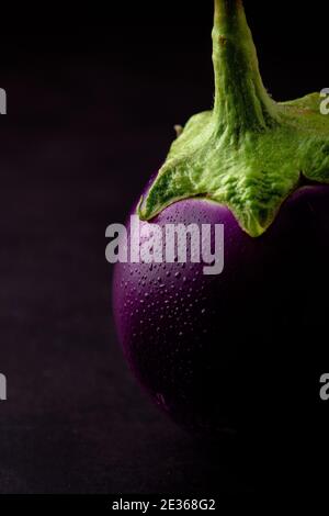 Schwarzes Hintergrundbild von Aubergine (Solanum melongena), die aus dem Hinterhof der Hauswirtschaft genommen wurde. Stockfoto