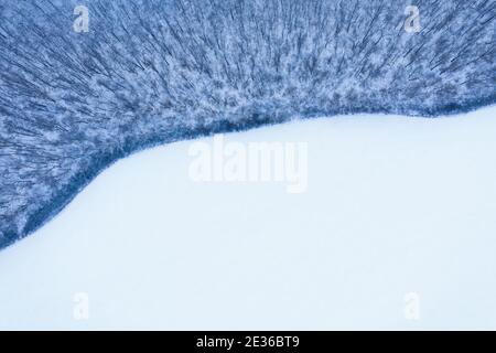 Der Rand eines blauen Winterwaldes ohne Blätter im Gegensatz zu einem reinen weißen schneebedeckten Feld - Luftaufnahme. Winterwald und schneebedecktes Feld bei frostigen kalten Wetter. Stockfoto