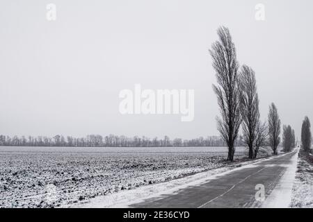 Winterstraße entlang einem gepflügten landwirtschaftlichen Feld, auf dem Schnee liegt. Stockfoto