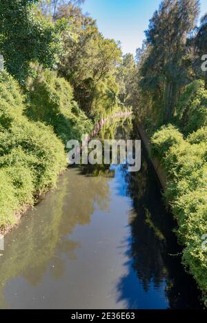 Duck Creek (offener Sturmwasserkanal) im Vorort Clyde im Westen von Sydney, New South Wales. Der Bach ist Teil des Einzugsgebiets des Flusses Parramatta Stockfoto
